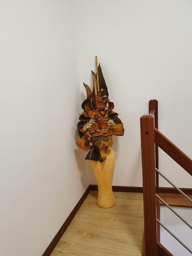 Casa Dos Arcos Apartment Aveiro Bagian luar foto