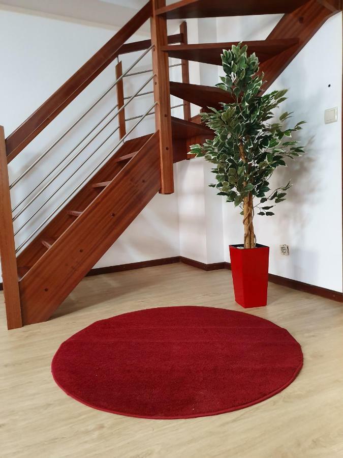 Casa Dos Arcos Apartment Aveiro Bagian luar foto